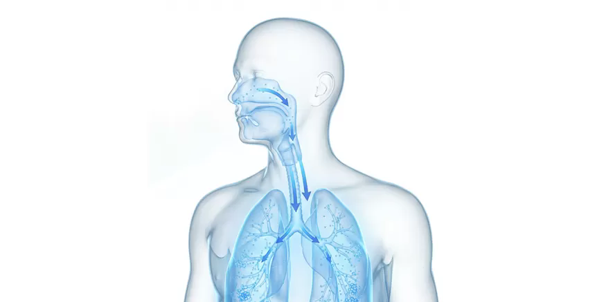 Working Principles of  Compressor Nebulizer(DC)